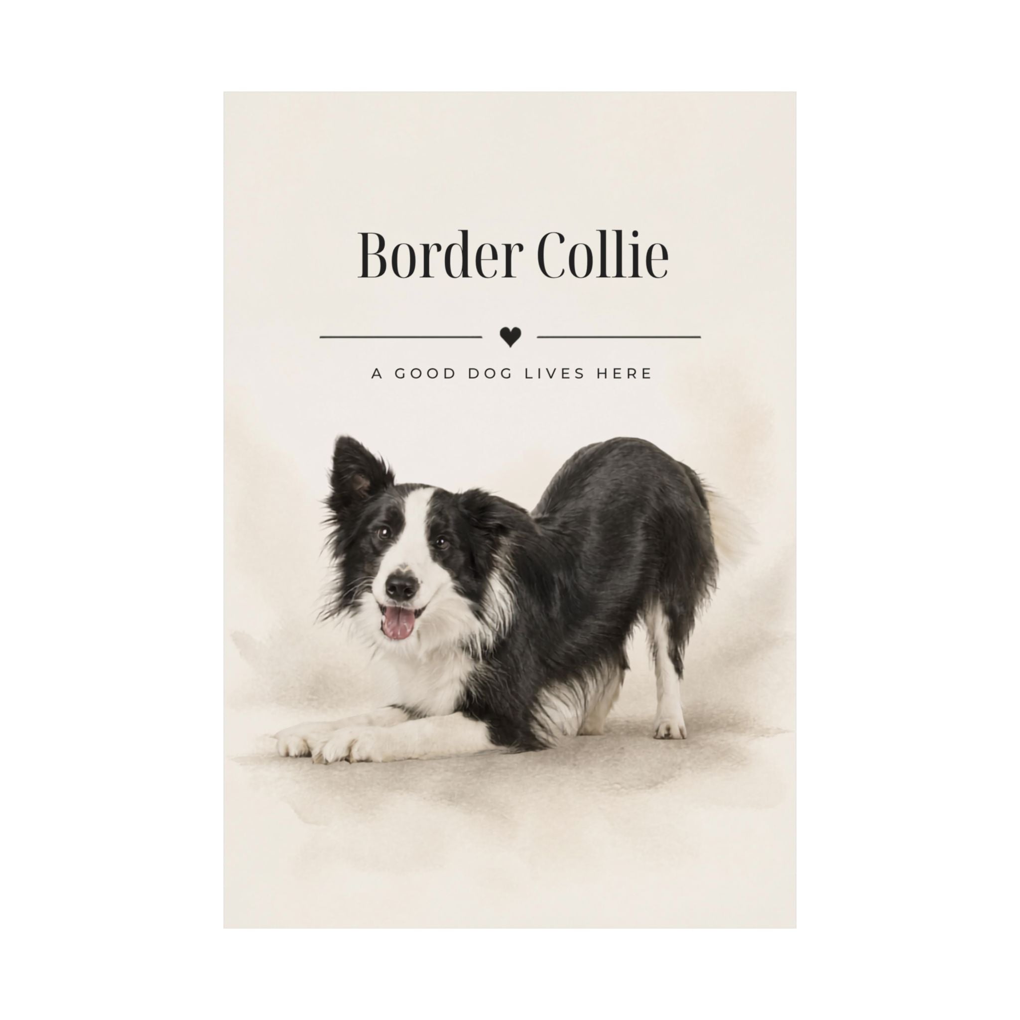 Border Collie Print · Dog Breed Wall Art · Border Collie Gift · Matte Poster