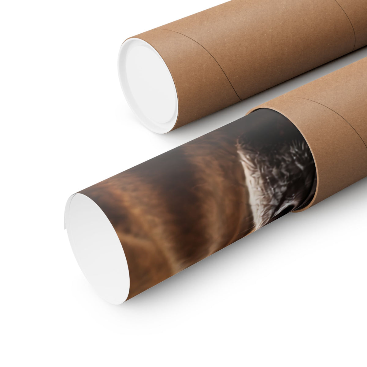Staffy Print · Dog Breed Wall Art · Staffy Gift · Matte Poster