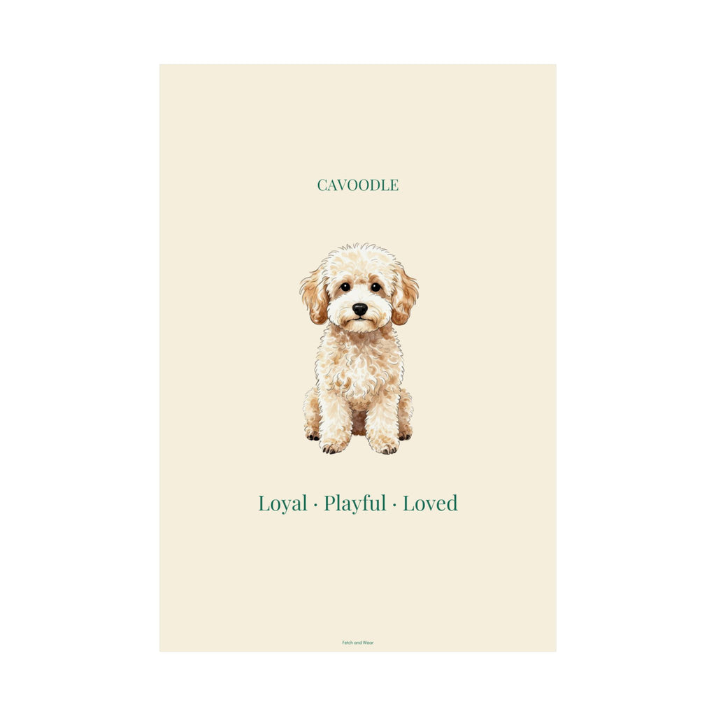 Cavoodle Print · Dog Breed Wall Art · Cavoodle Gift · Matte Poster