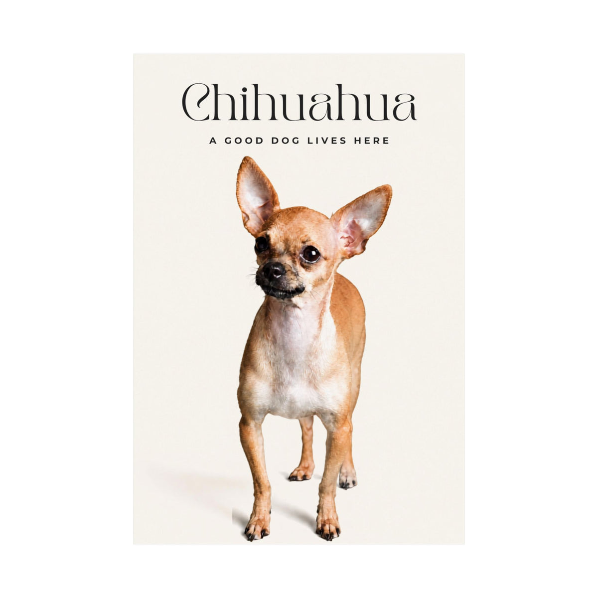 Chihuahua Print · Dog Breed Wall Art · Chihuahua Gift · Matte Poster