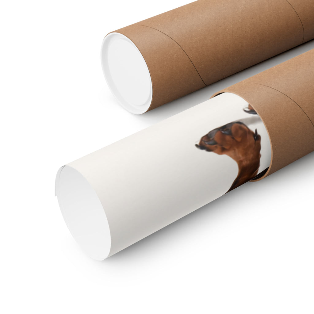 Dachshund Print · Dog Breed Wall Art · Dachshund Gift · Matte Poster
