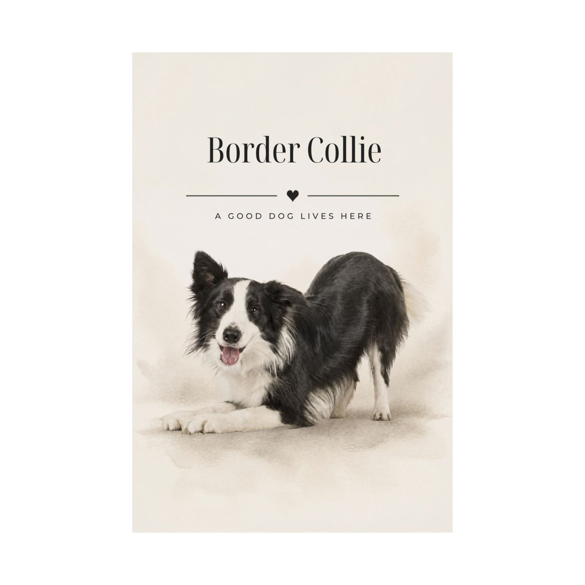 Border Collie Print · Dog Breed Wall Art · Border Collie Gift · Matte Poster
