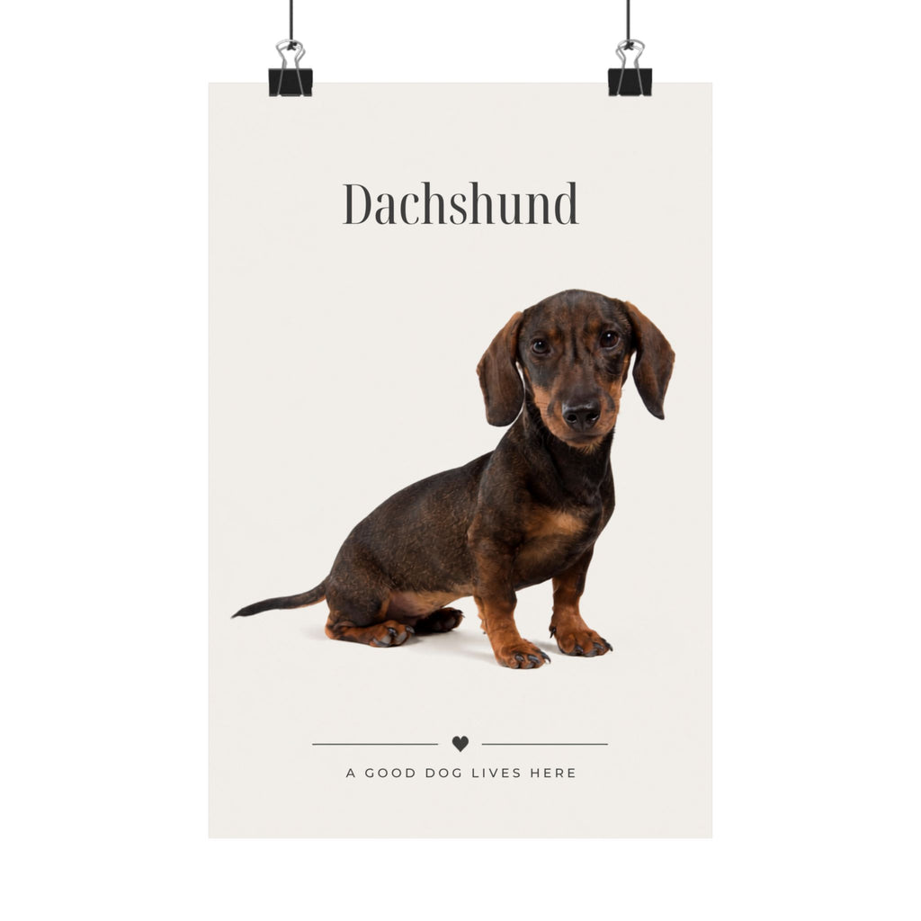Dachshund Print · Dog Breed Wall Art · Dachshund Gift · Matte Poster