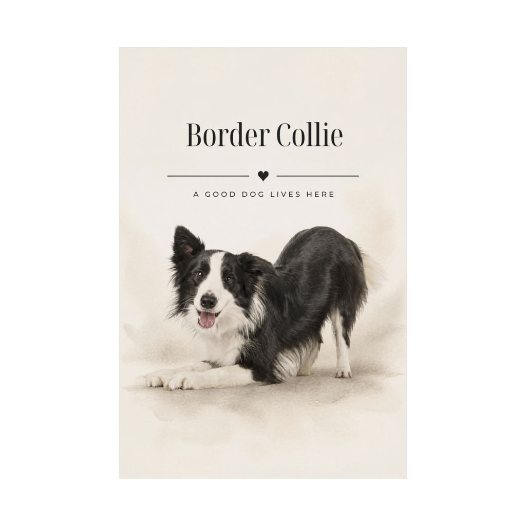 Border Collie Print · Dog Breed Wall Art · Border Collie Gift · Matte Poster