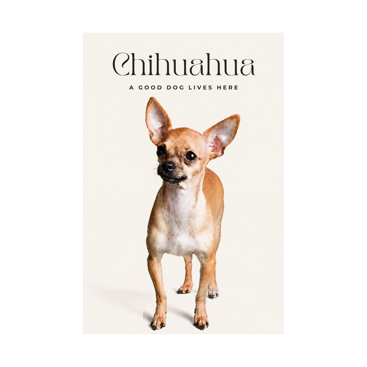 Chihuahua Print · Dog Breed Wall Art · Chihuahua Gift · Matte Poster