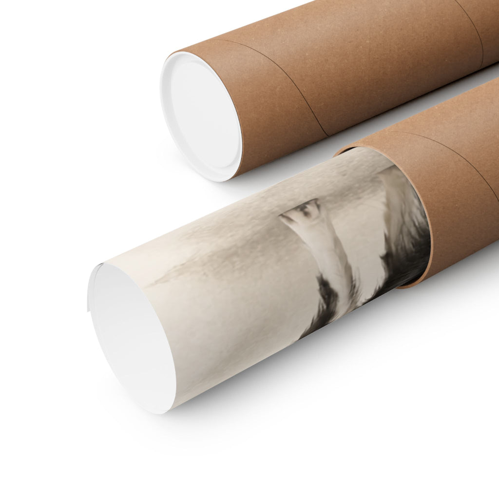 Border Collie Print · Dog Breed Wall Art · Border Collie Gift · Matte Poster