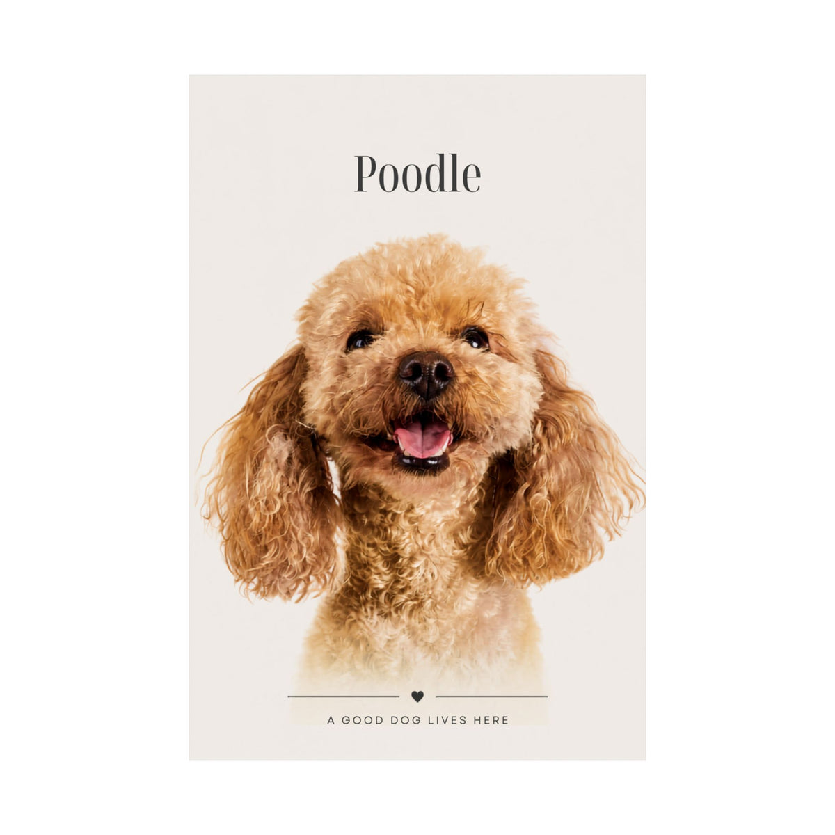 Poodle Print · Dog Breed Wall Art · Poodle Gift · Matte Poster