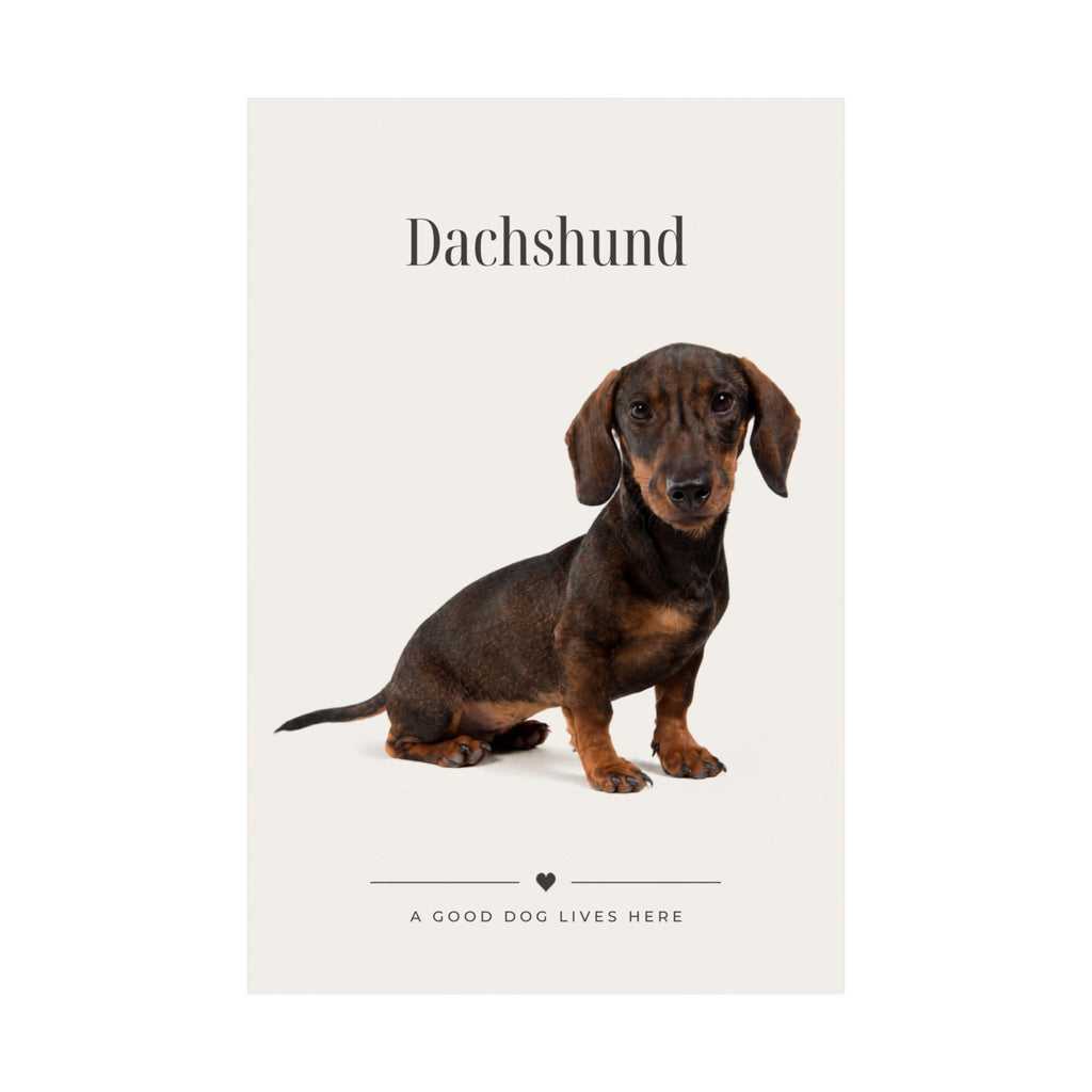 Dachshund Print · Dog Breed Wall Art · Dachshund Gift · Matte Poster