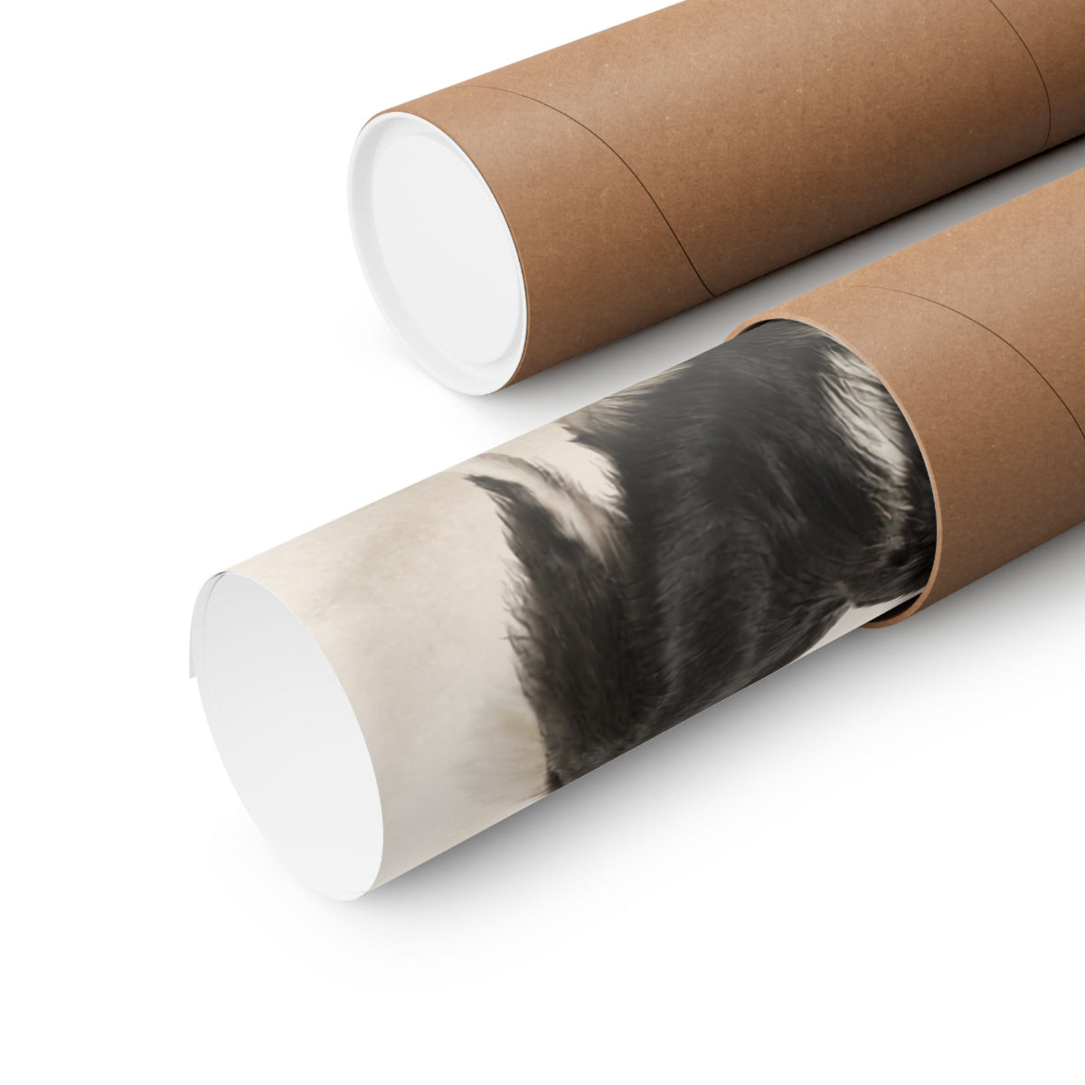 Border Collie Print · Dog Breed Wall Art · Border Collie Gift · Matte Poster