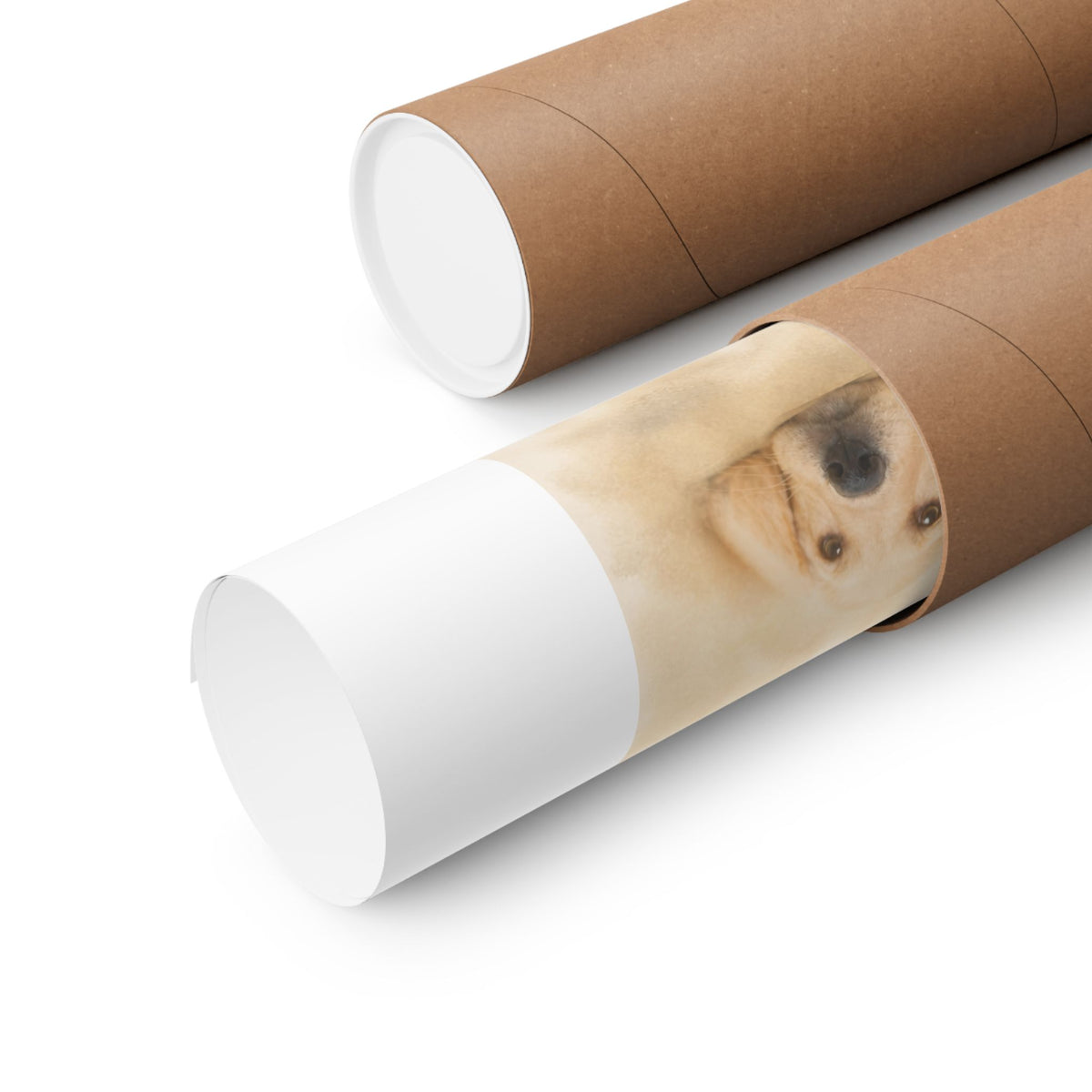 Labrador Retriever Wall Art · Lab Print · Dog Lover Home Decor