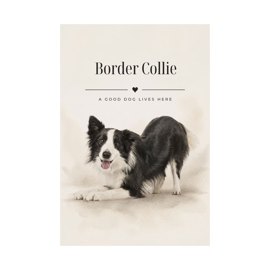 Border Collie Print · Dog Breed Wall Art · Border Collie Gift · Matte Poster