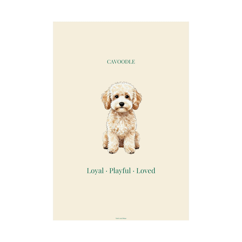 Cavoodle Print · Dog Breed Wall Art · Cavoodle Gift · Matte Poster